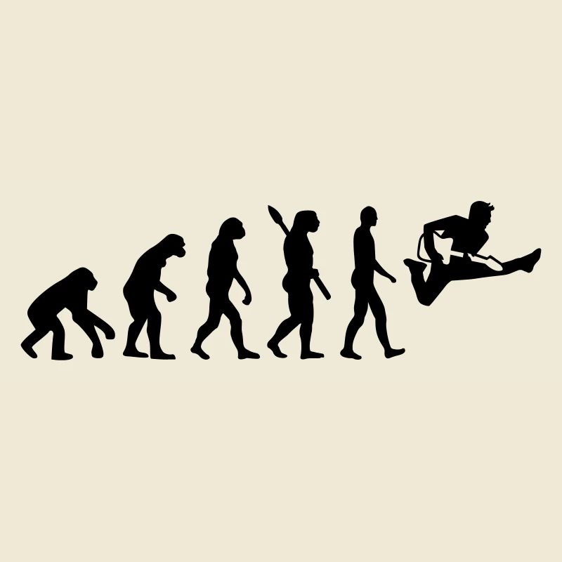 Evolution Guitare
