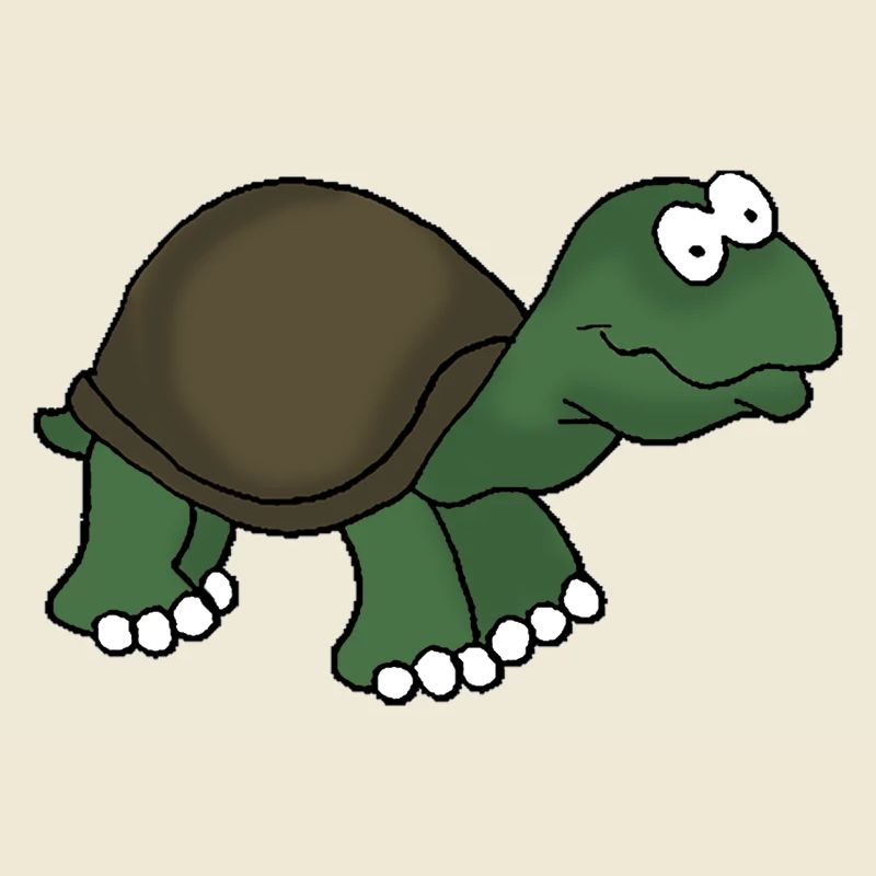Turtle 1