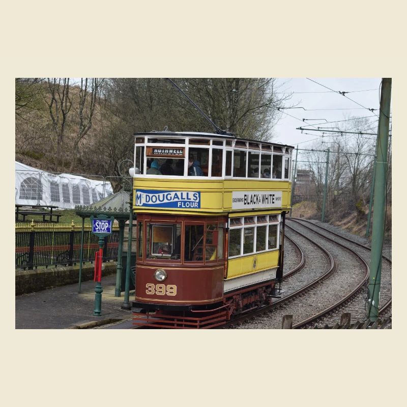 Trams