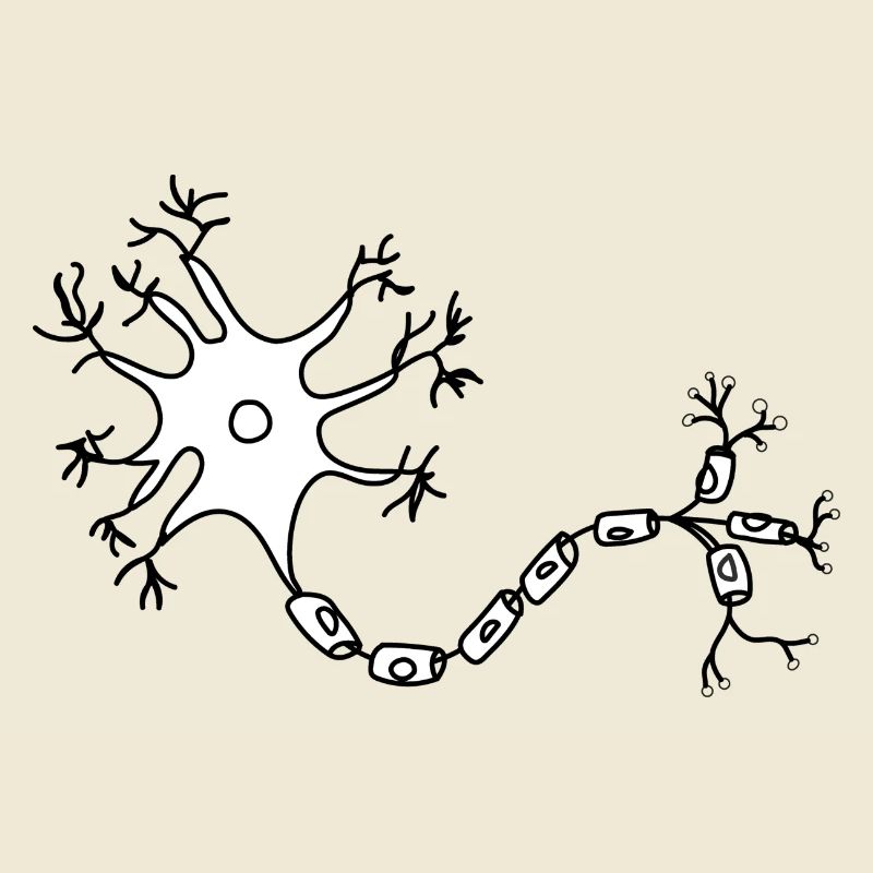 neuron