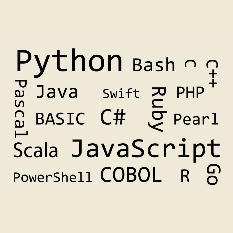 Programmer
