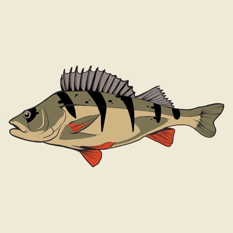 Perche Perche Perche Perche Pêche Kretzer