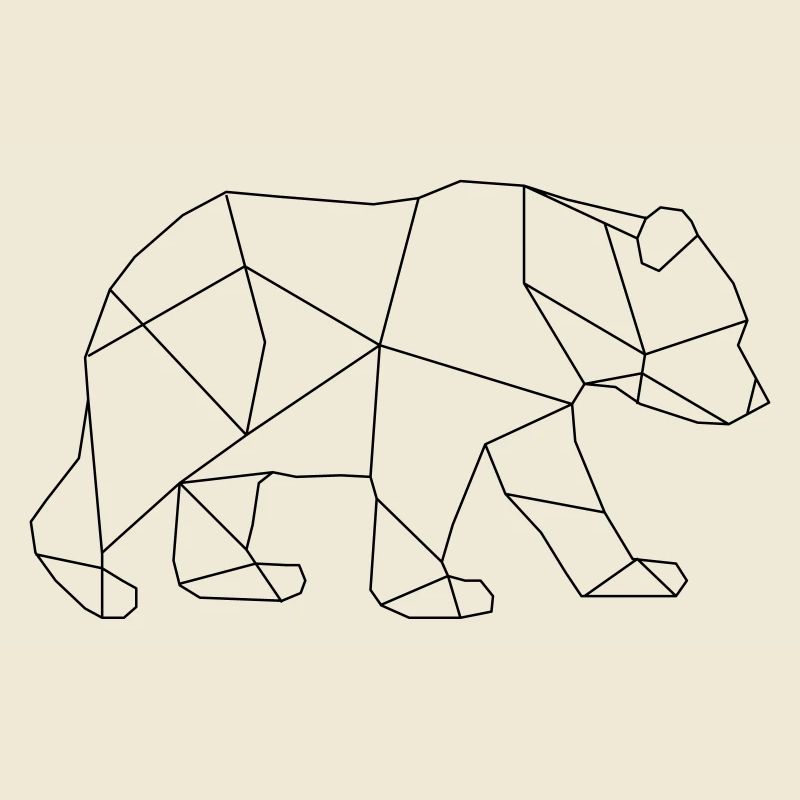 Eisbär Polarbär Bär Geometrisch Eis Nordpol Arktis