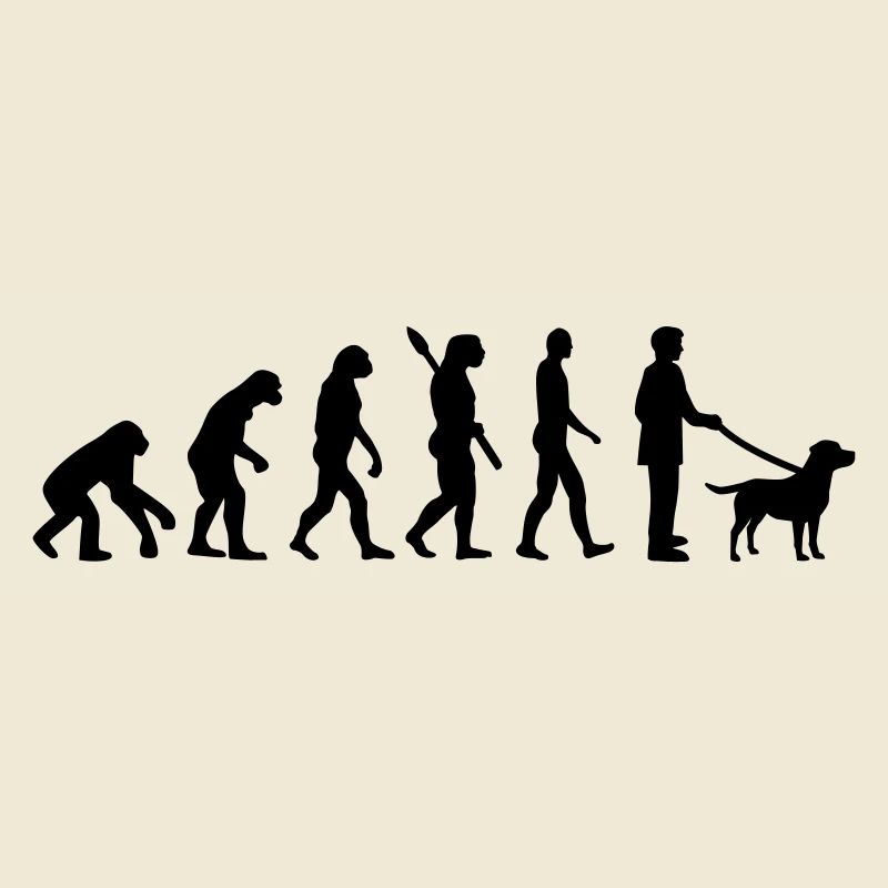 Labrador