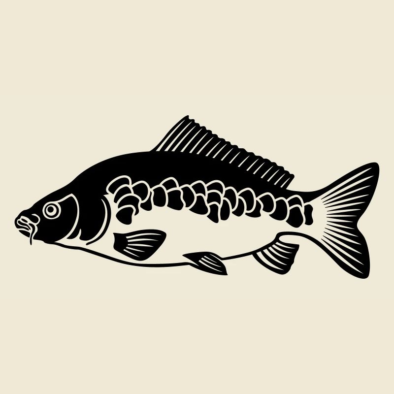 Carp (Carp)