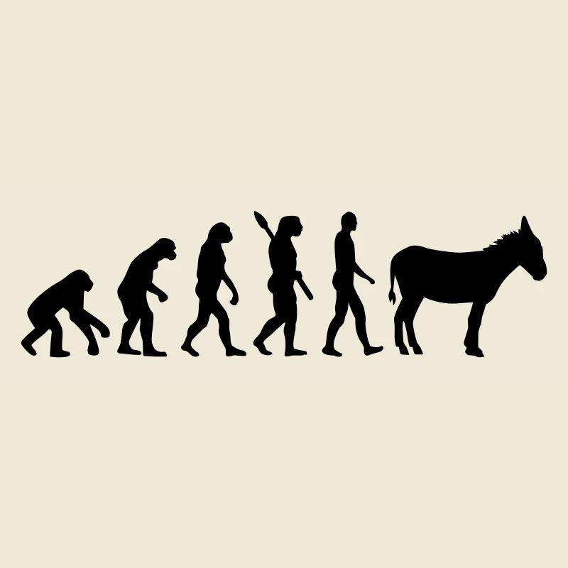 Evolution Bourrique