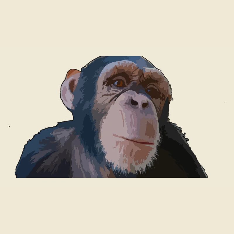 Cute monkey