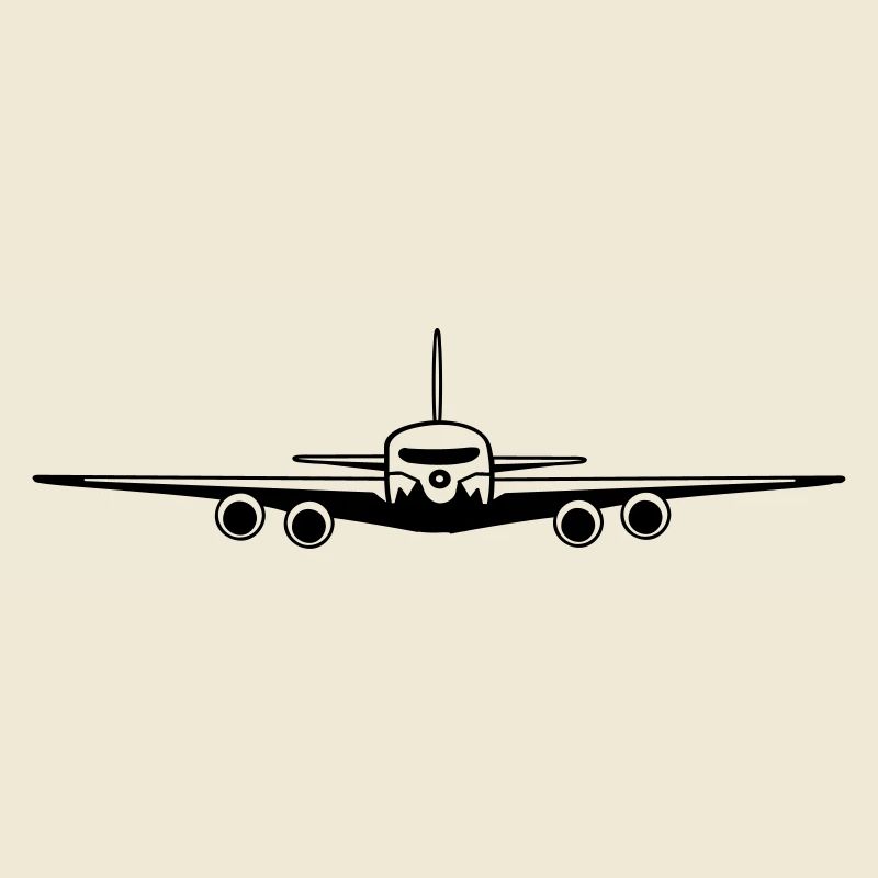 flugzeug