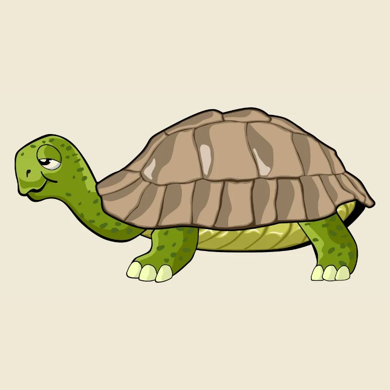 turtle drawing