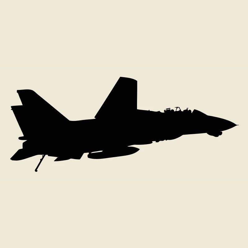 F-14 Tomcat