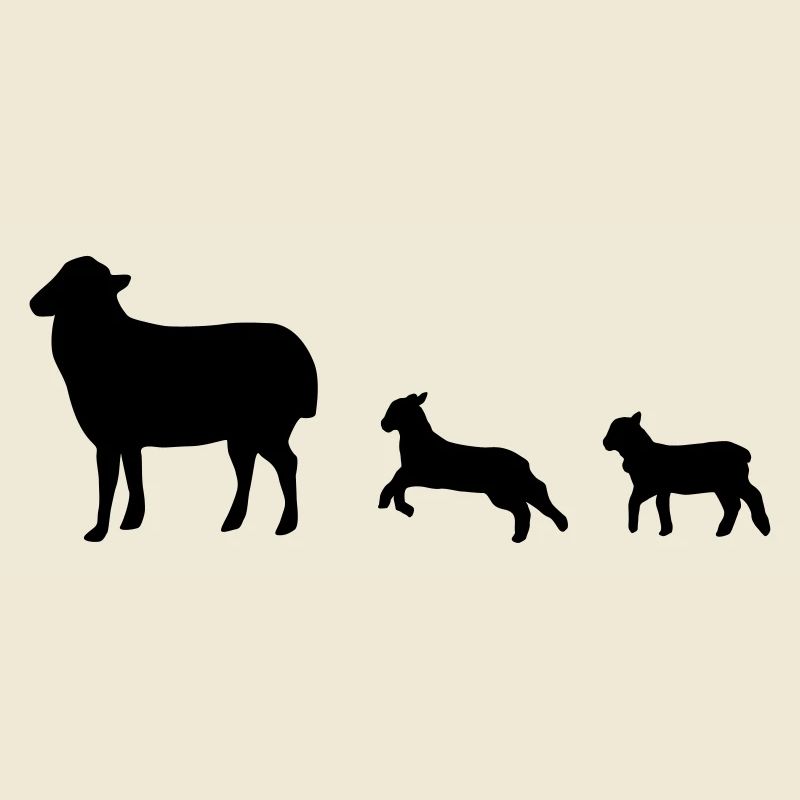 Schafe, Schaf, Lamm, Lämmer