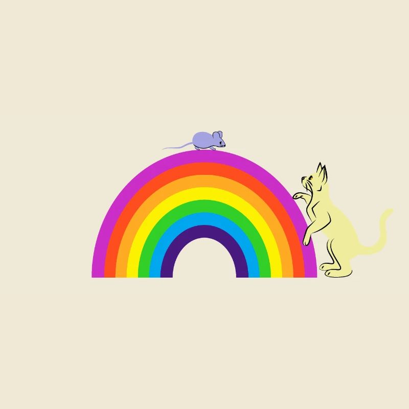 Kidcore Cat and Mouse Rainbow Gift Idea
