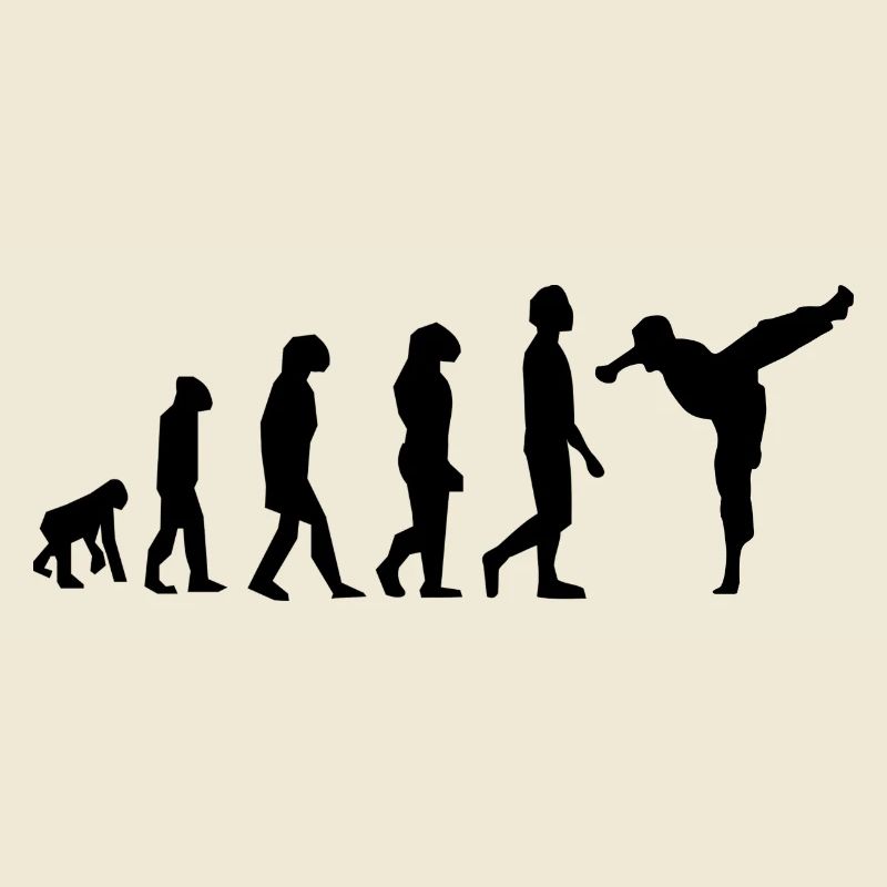 Art martiaux évolution