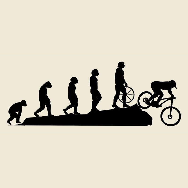 Fahrad Evolution Schwarz