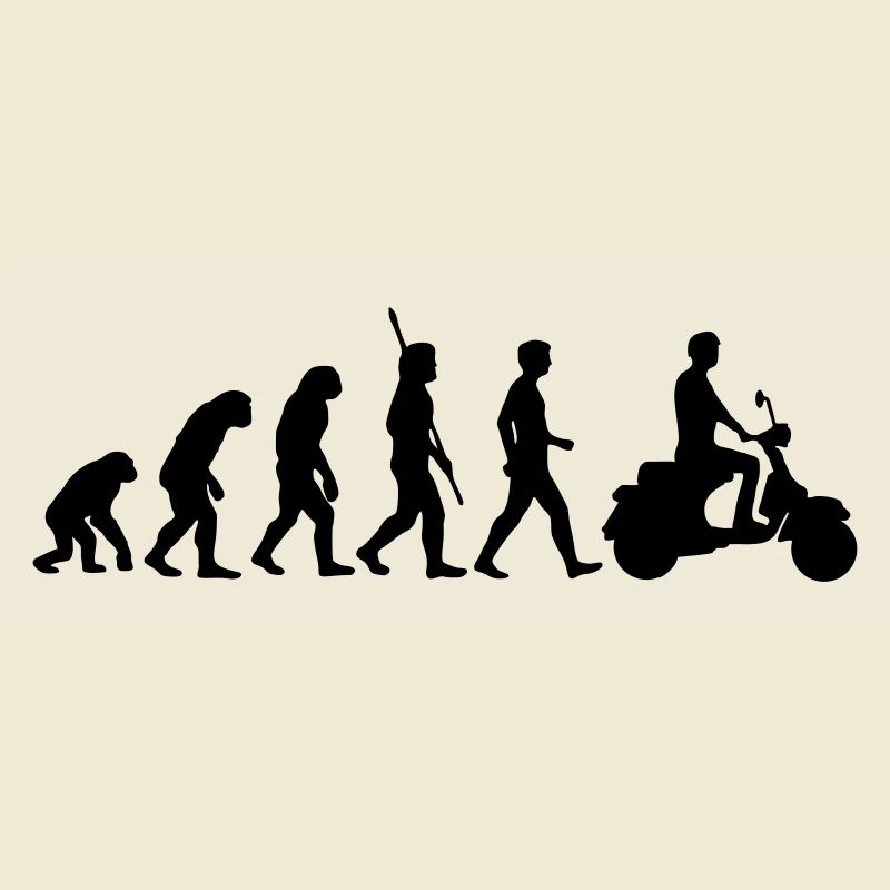 Evolution des Rollers