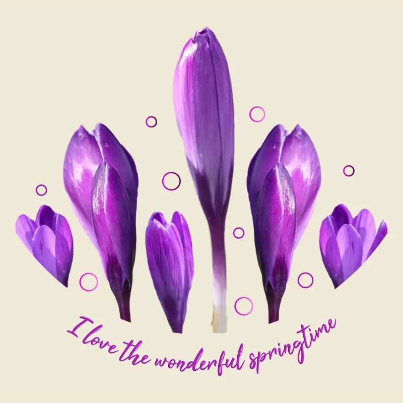 Crocuses Crocus