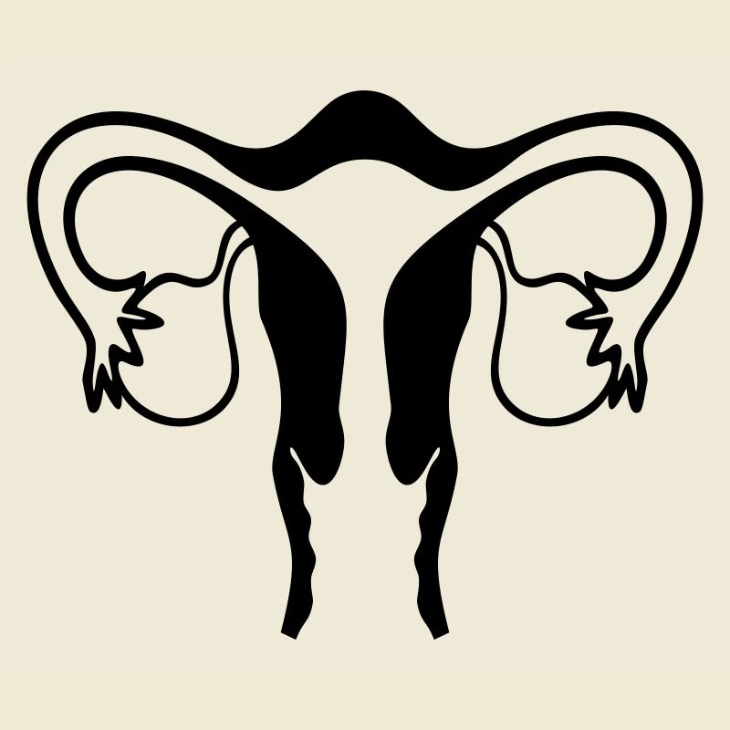 Uterus (1c, schematic representation)