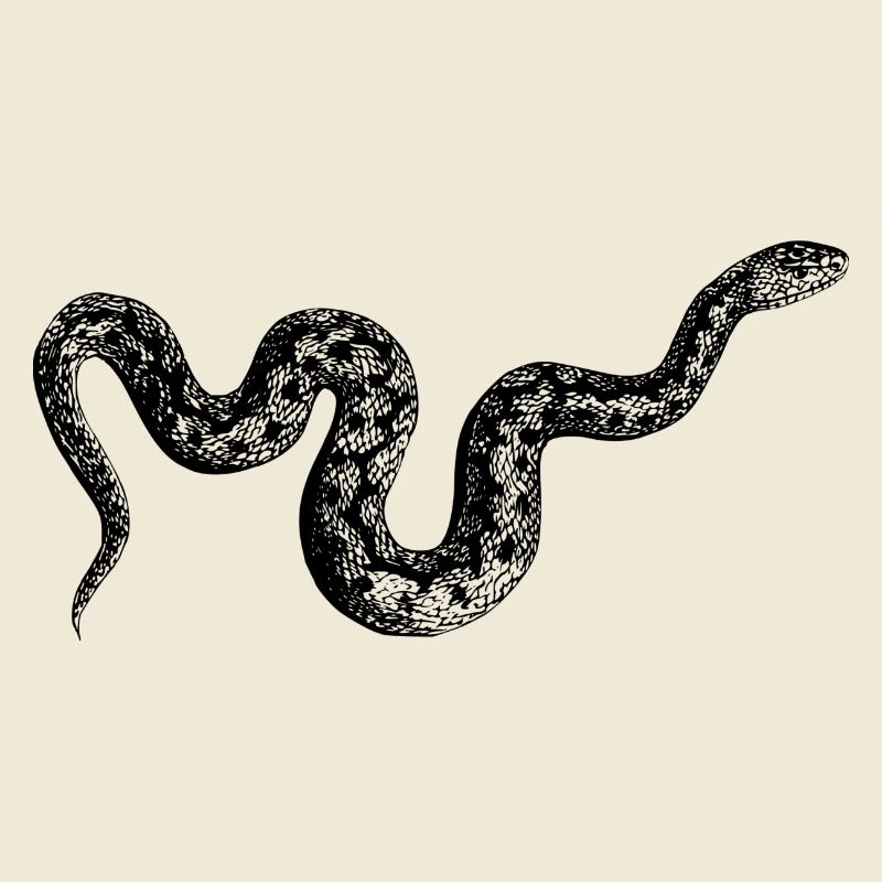 serpent