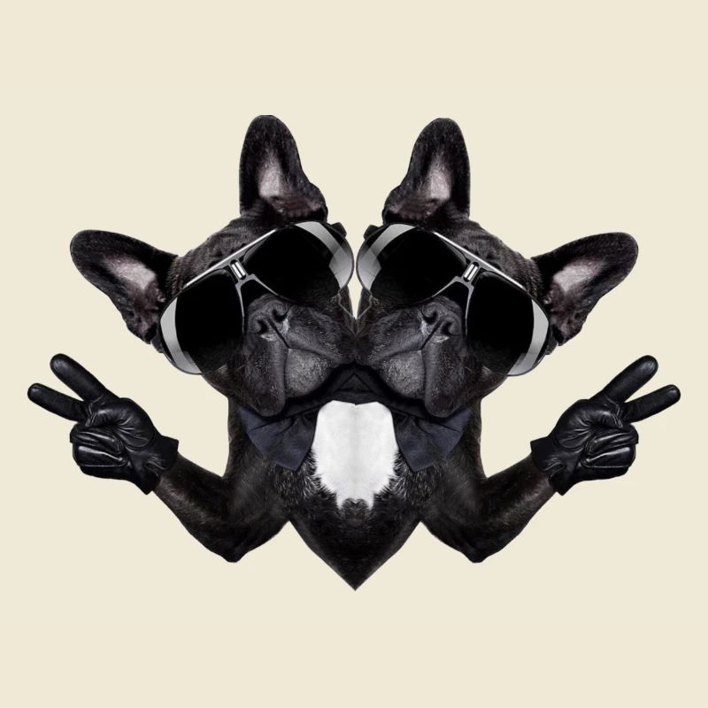 Chien abstrait