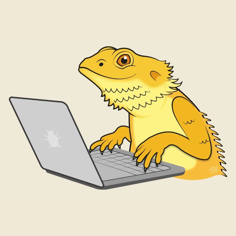 Lizard coding