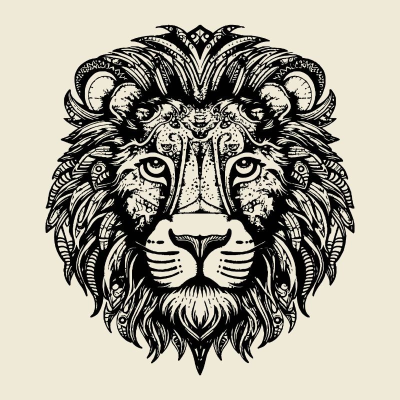 Lion Lion Head Predator