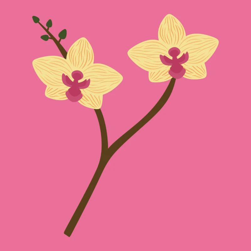 Gelbe Orchidee