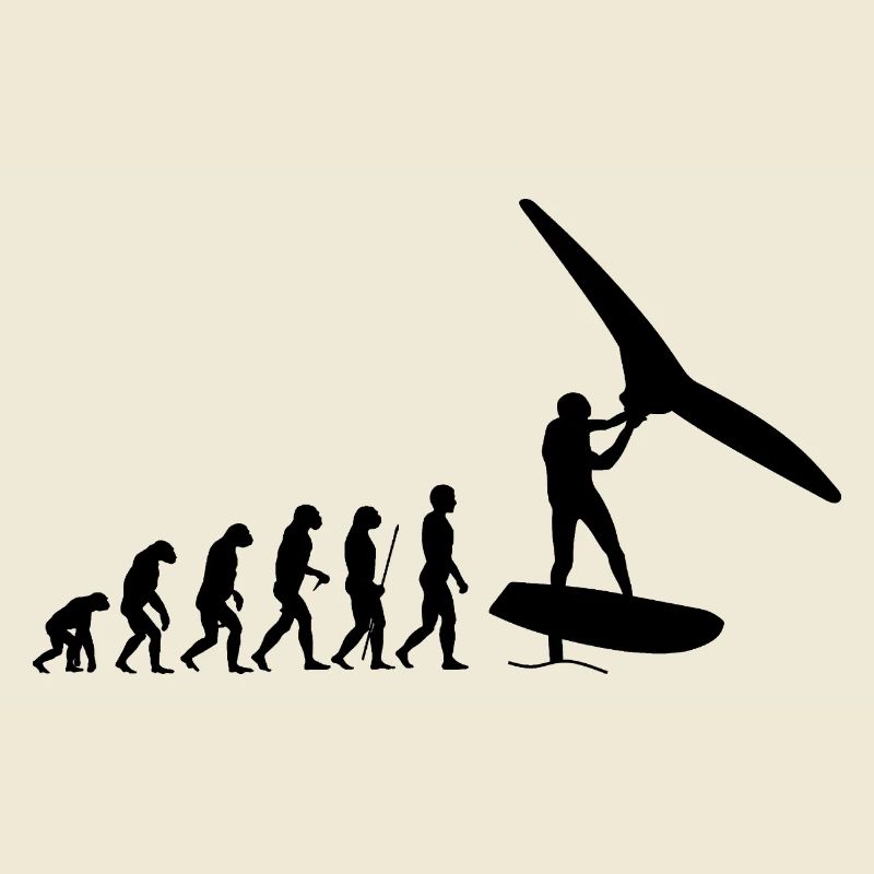 Évolution du foilwing