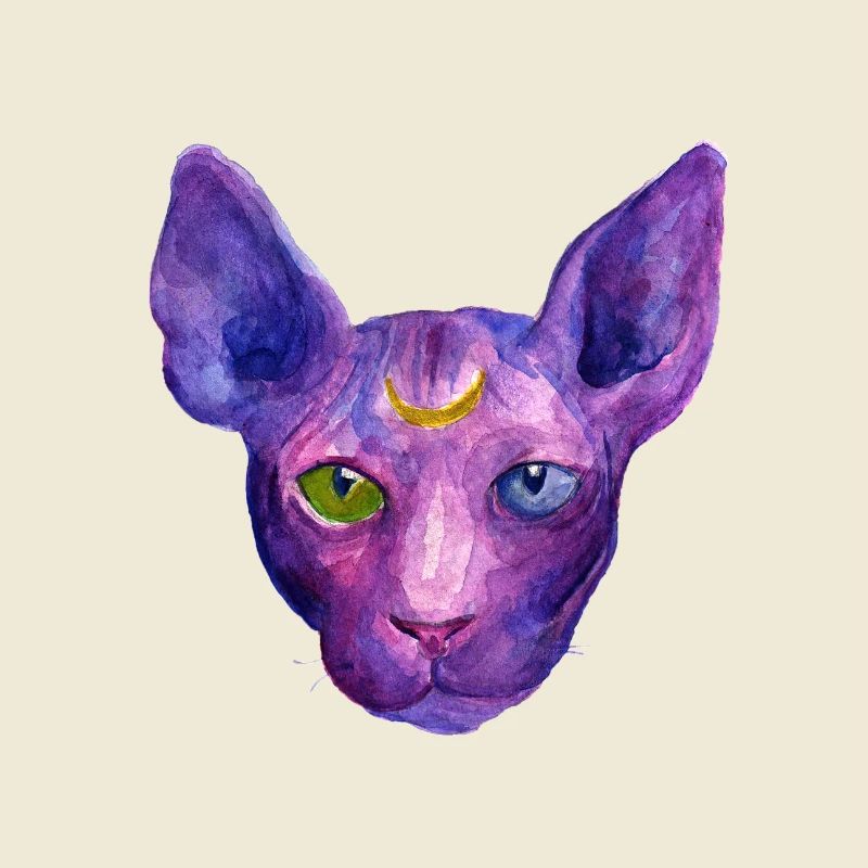 Sphynx Katze