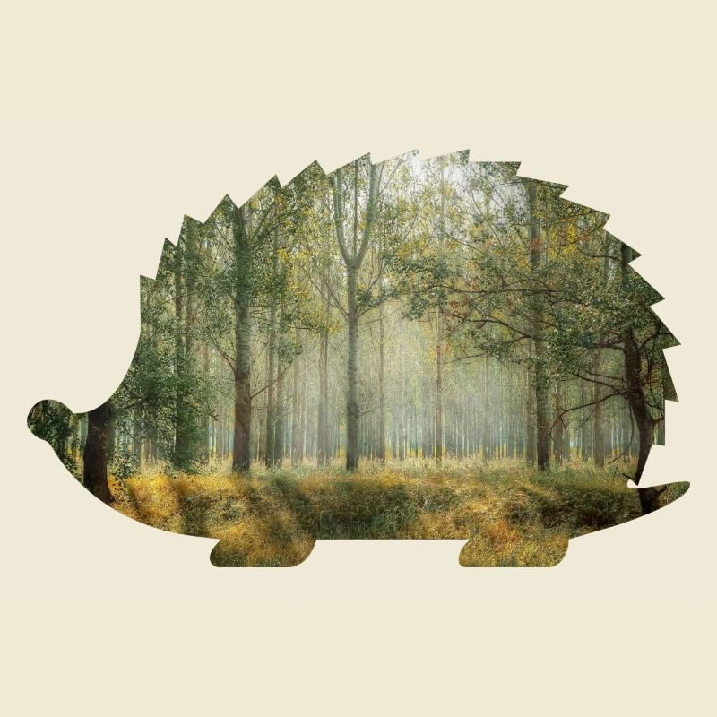 forêt 9 hérisson avec forêt
