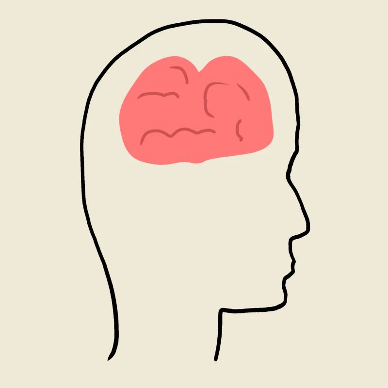 Head Profile People Side Brain Form