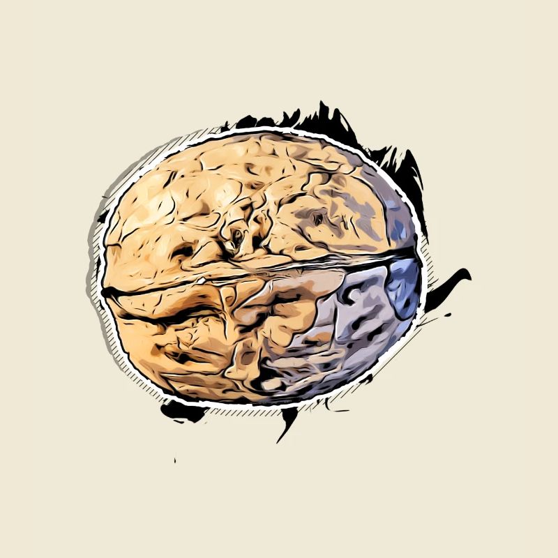 Walnut
