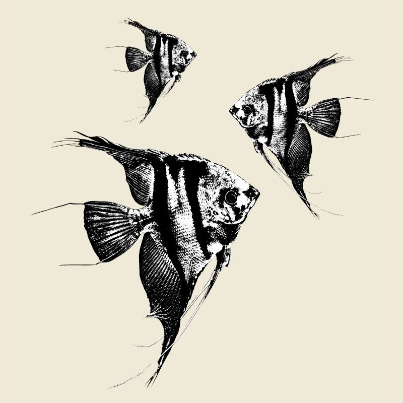 Scalar swarm / Scalars / Graph
