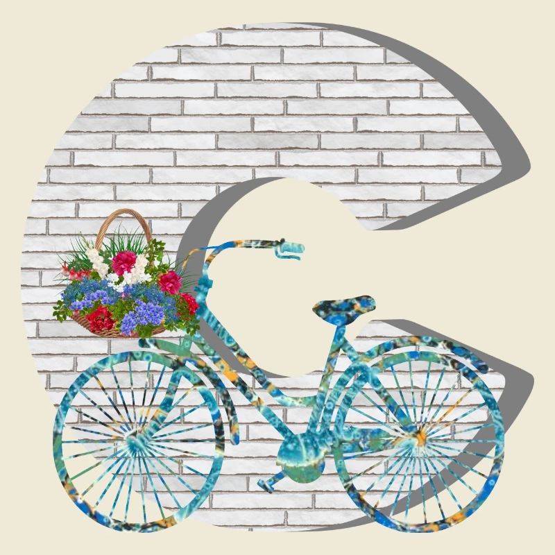 vélo e 100 c