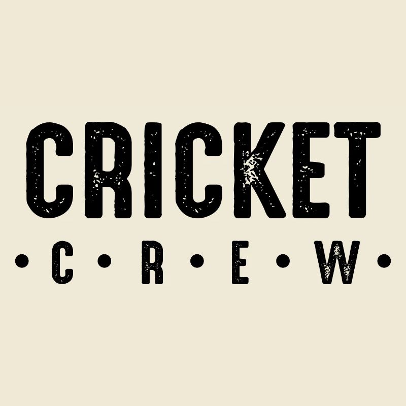 Équipe de cricket
