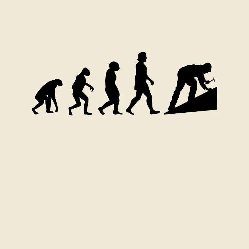 Toit de toit Evolution toit