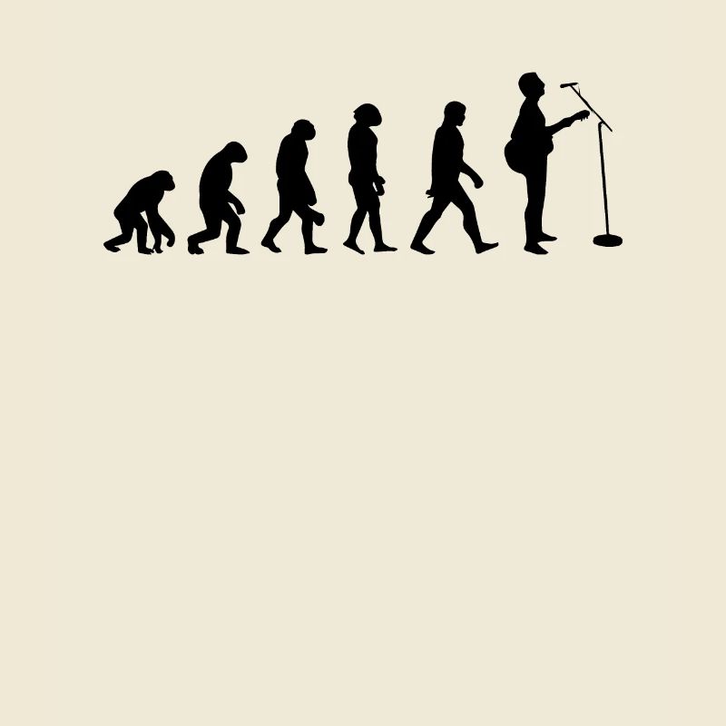 Évolution Du Guitare