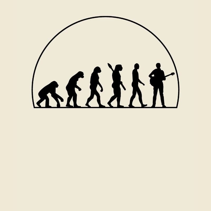 Évolution Du Guitare
