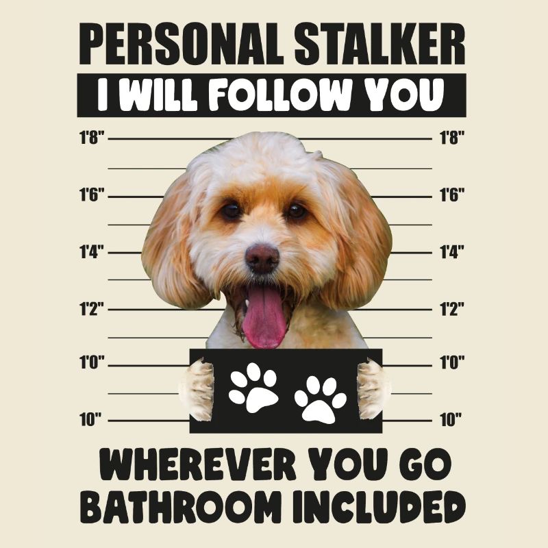 Personal Stalker Dog, Funny Cockapoo Lover gift