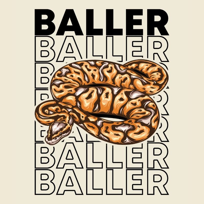Ball Python 80's Style Baller Royal Python Snake