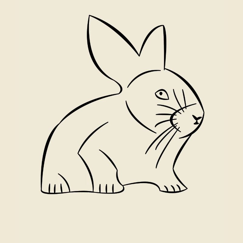 Rabbit drawn