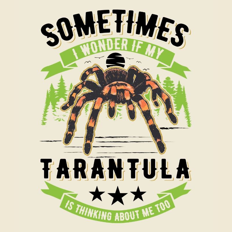 Tarantula Spider Tarantula