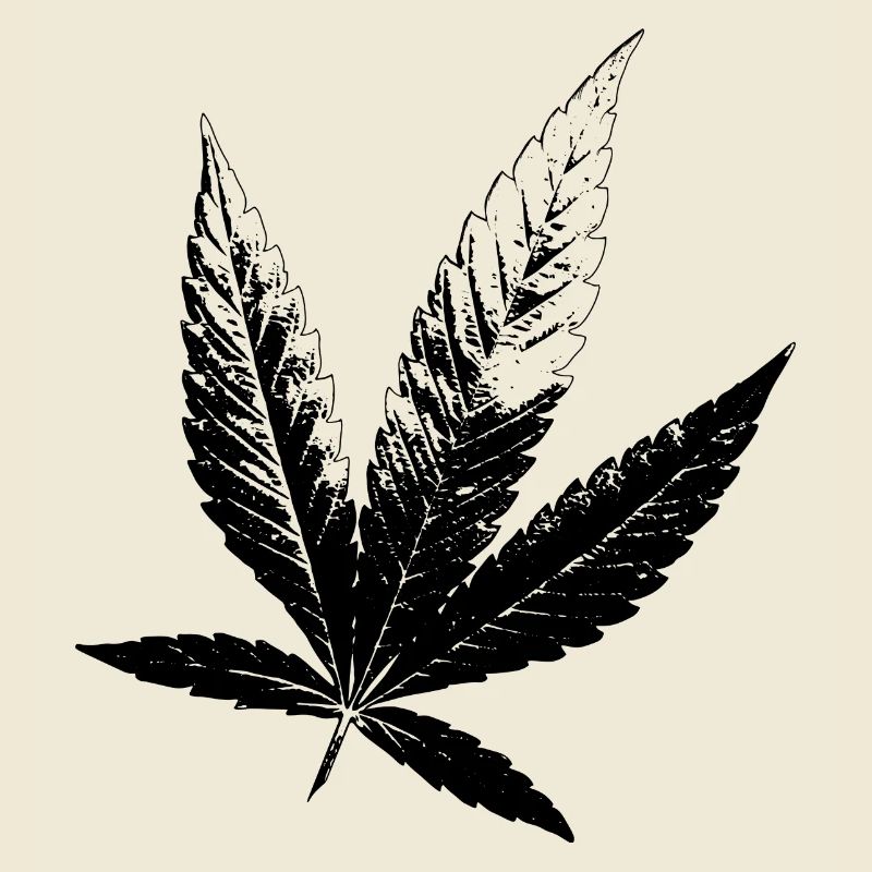 Cannabis Hanf Blatt