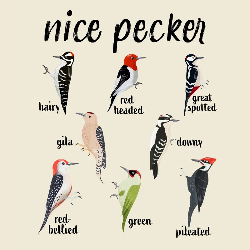 « Nice Pecker » Drôle d’observation des oiseaux pics