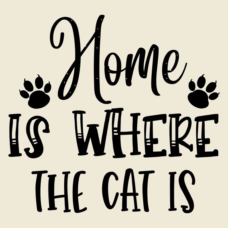 home is where the cat is
