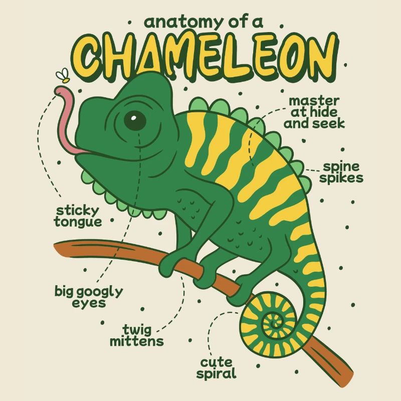 Anatomie eines Chamäleons