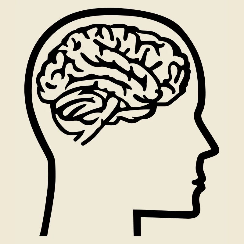 Brain