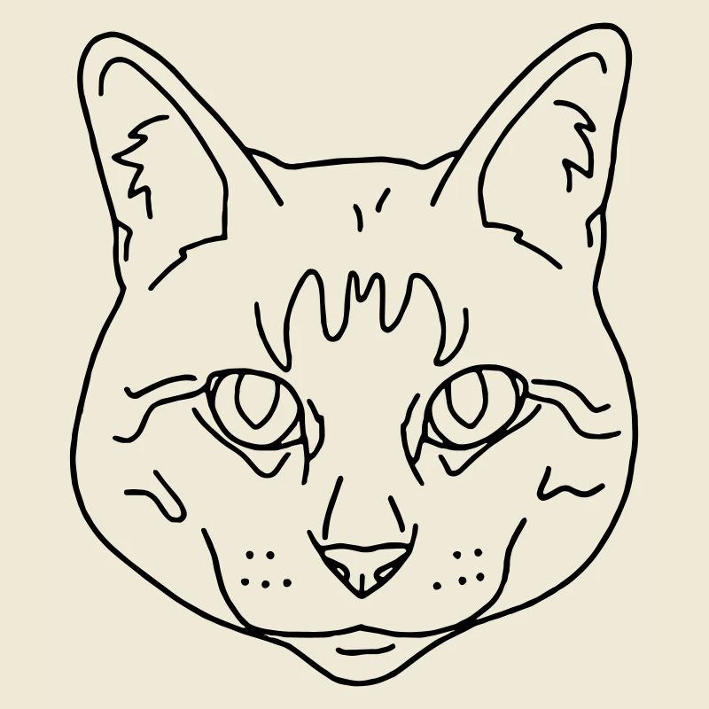 Katze