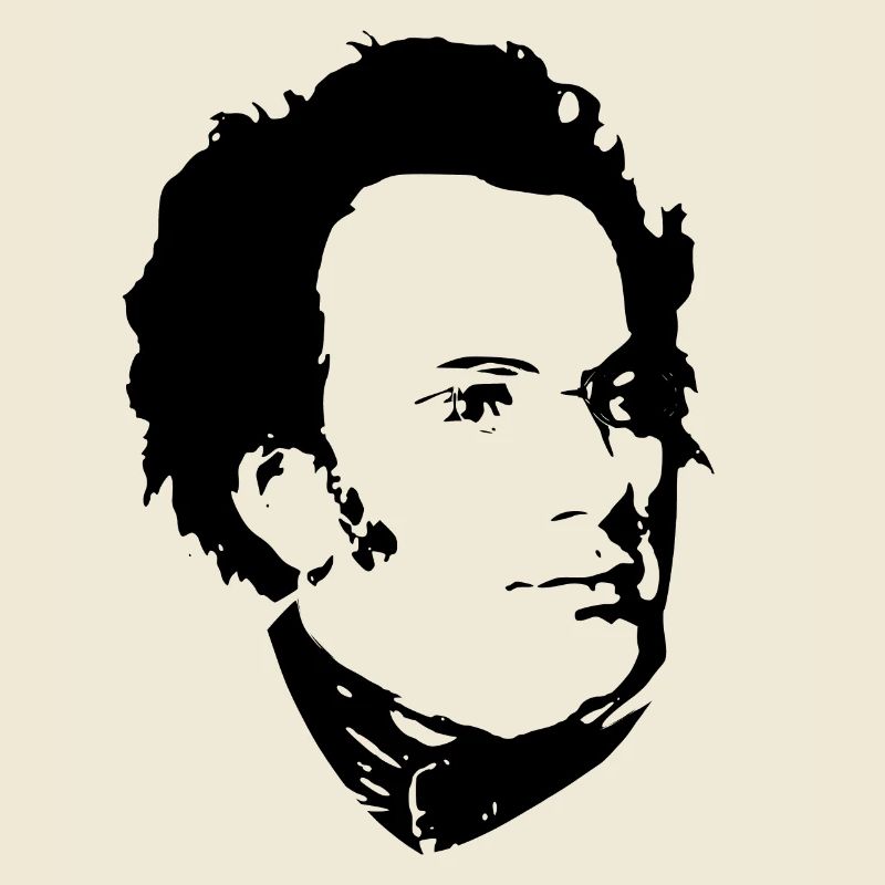 Franz Schubert Black On White