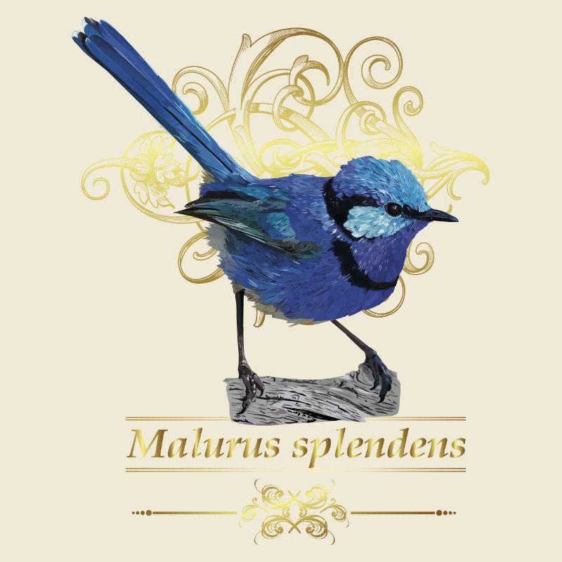 splendide maluro