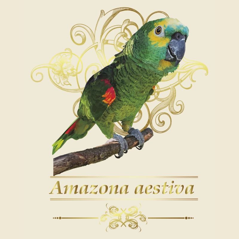 L’amazone à front bleu